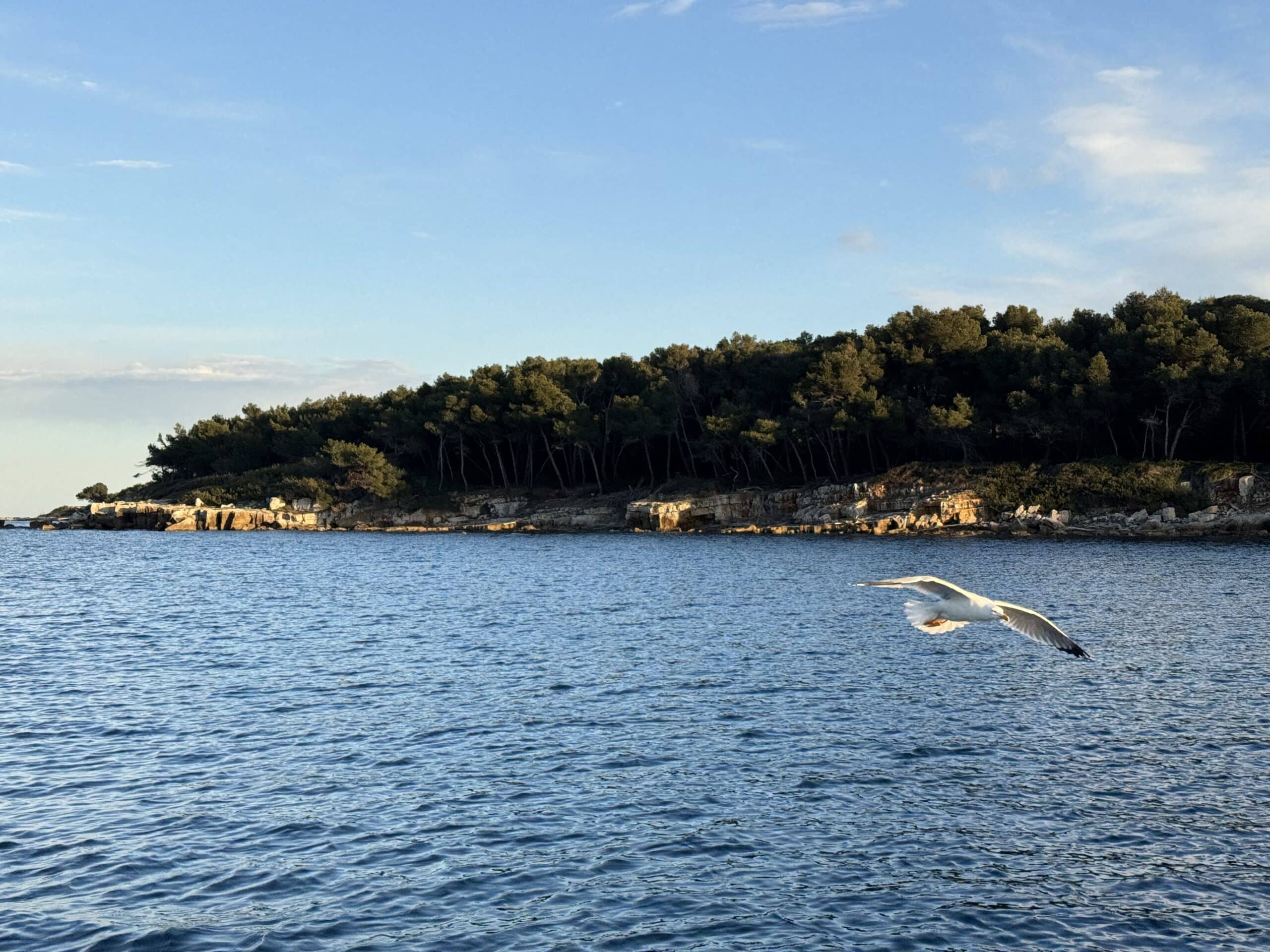 excursion-decouverte-cap-sail-groupe-privatisation-iles-lérins-vue-bateau